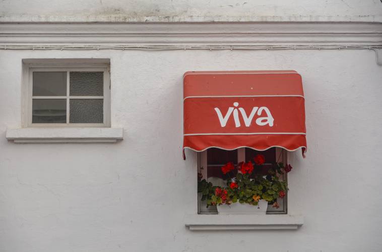 Viva